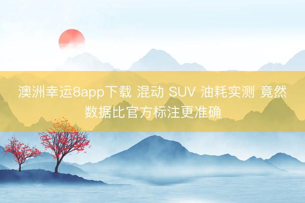 澳洲幸運(yùn)8app下載 混動(dòng) SUV 油耗實(shí)測(cè) 竟然數(shù)據(jù)比官方標(biāo)注更準(zhǔn)確