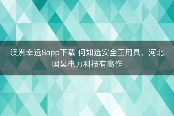 澳洲幸運(yùn)8app下載 何如選安全工用具,河北國昊電力科技有高作