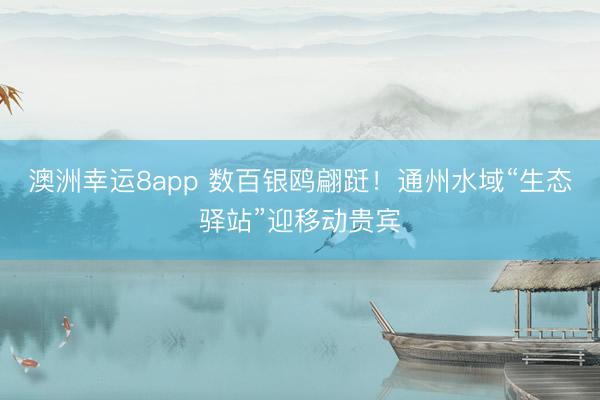 澳洲幸運8app 數百銀鷗翩躚！通州水域“生態驛站”迎移動貴賓